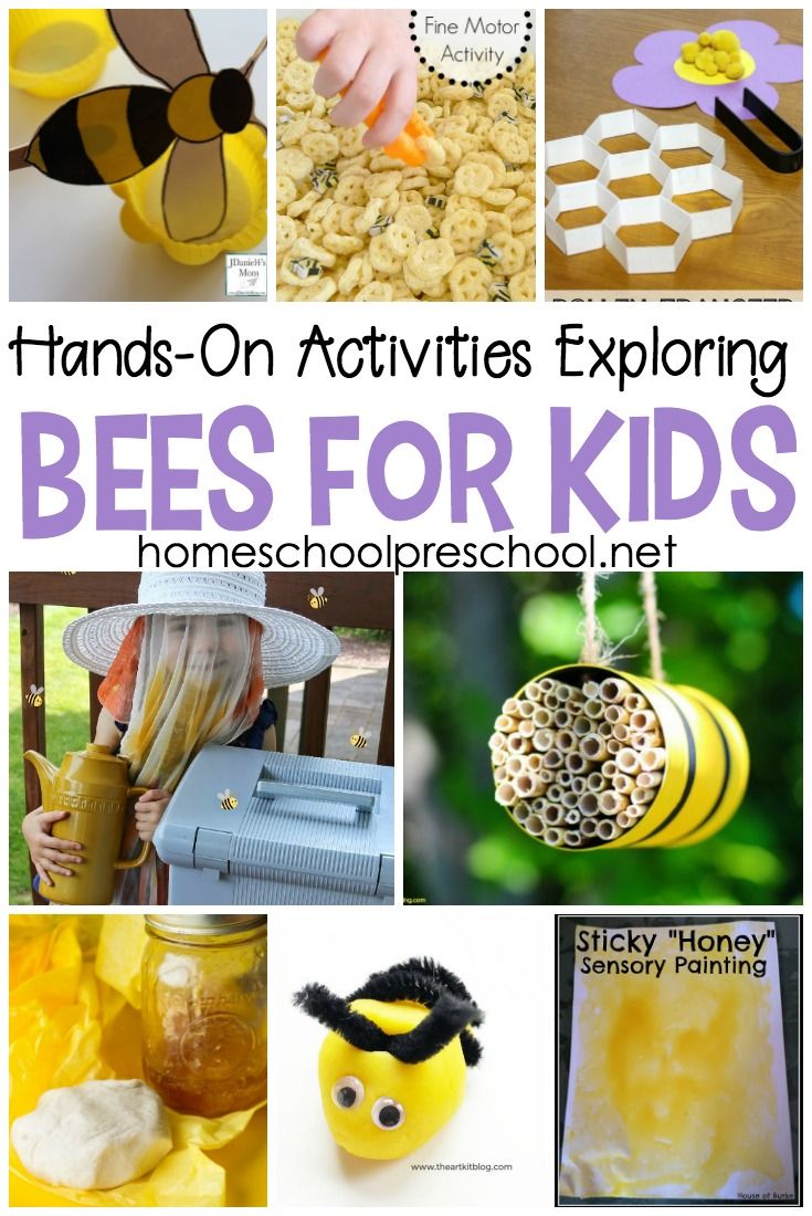 bees activities and crafts for kids to do at home