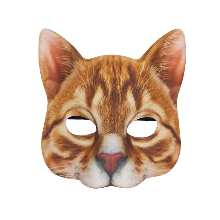 a close up of a cat mask on a white background