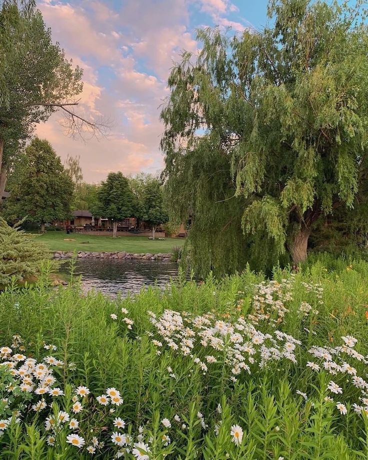 a pond surrounded by trees and flowers