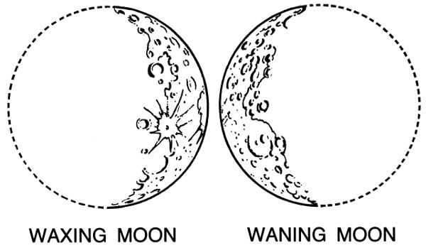 two circles with the words waxing moon and waning moon on them, vintage line drawing or engraving illustration