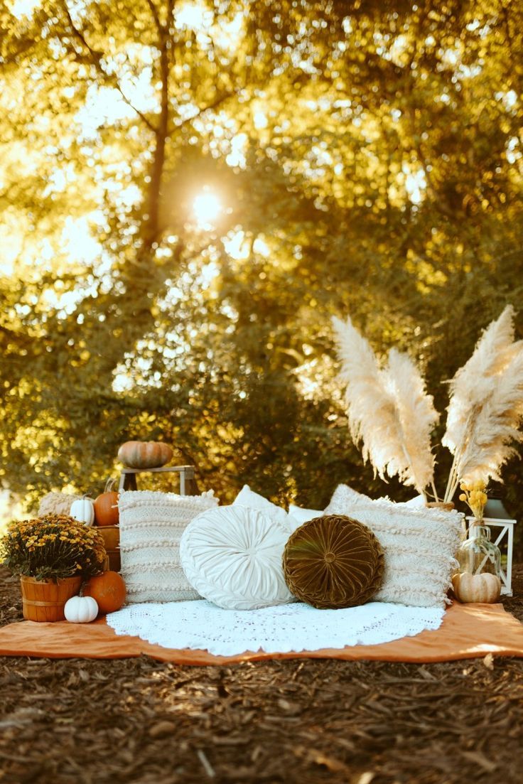 a blanket and pillows on the ground in front of trees