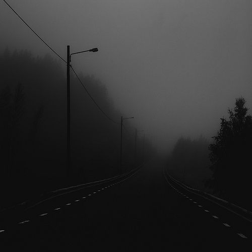 a foggy road with power lines and telephone poles on the side in black and white