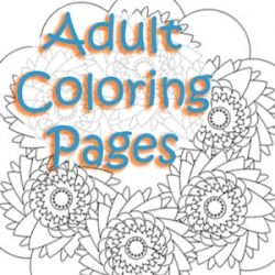 an adult coloring page with flowers and the words adult coloring pages