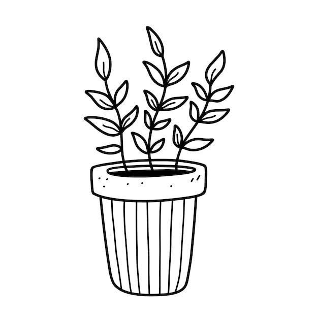 a black and white drawing of a potted plant with leaves on it's top