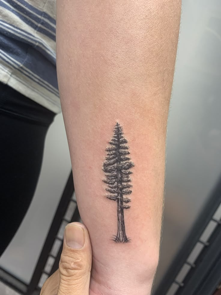 a small pine tree tattoo on the arm