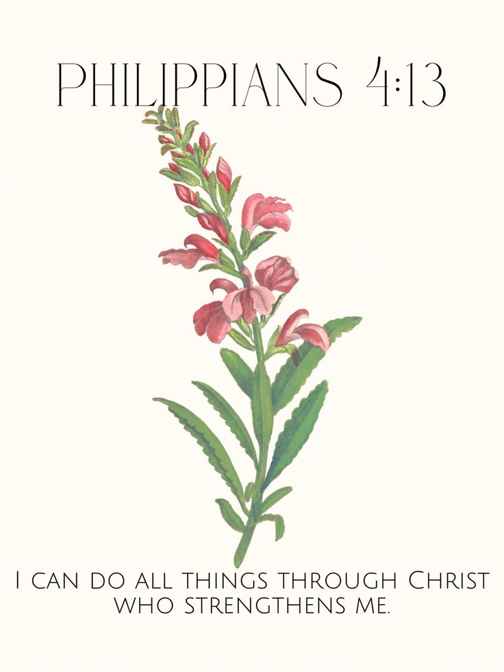 a pink flower with the words, i can do all things through christ who straightens me