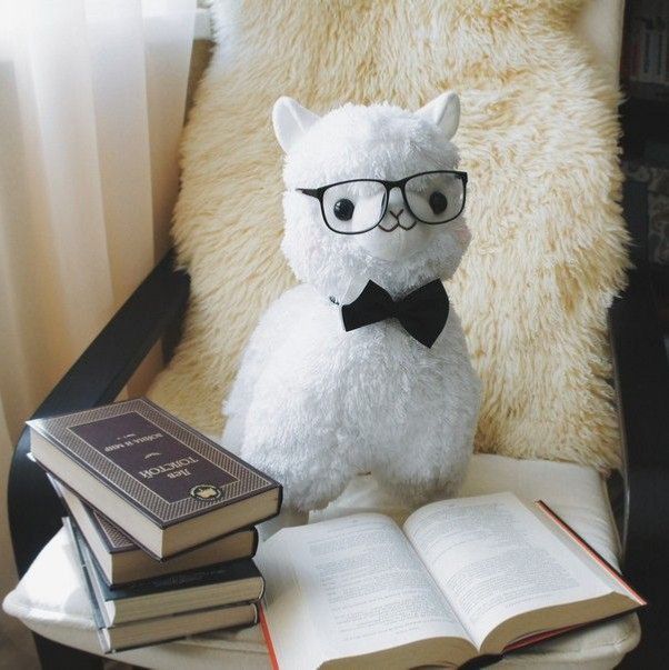 a white stuffed animal with glasses and a book on a chair next to a pillow