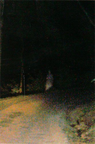 a blurry image of a person walking down a path in the woods at night