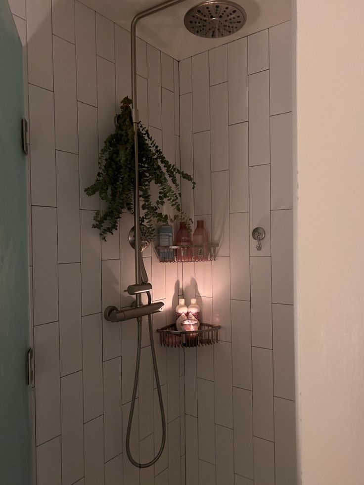 a shower head with plants and candles in the corner next to it on a shelf