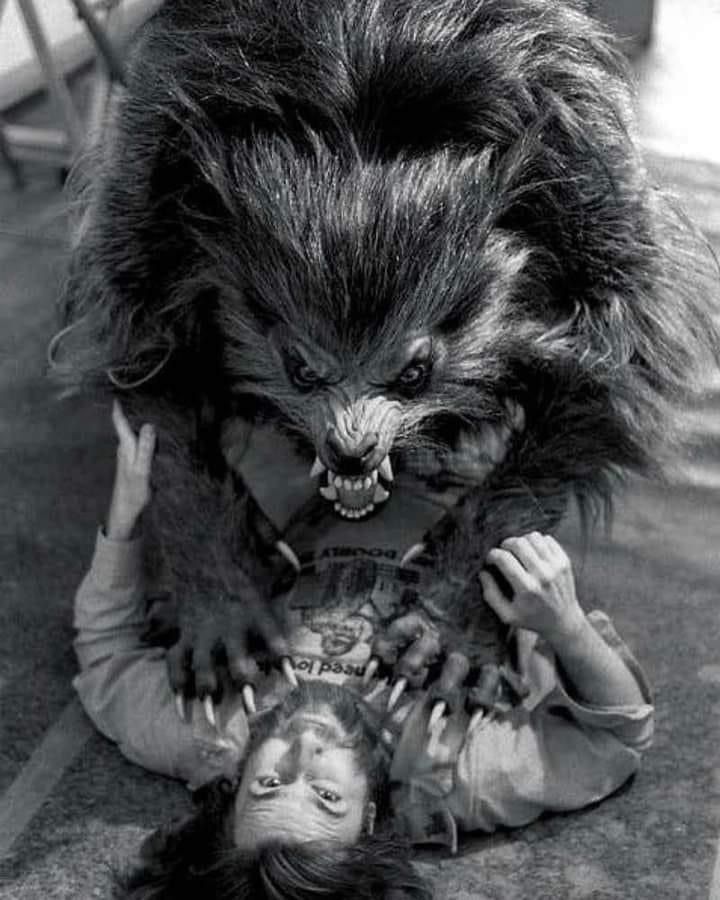 a woman laying on the ground next to a large animal with her head hanging over another person's shoulder