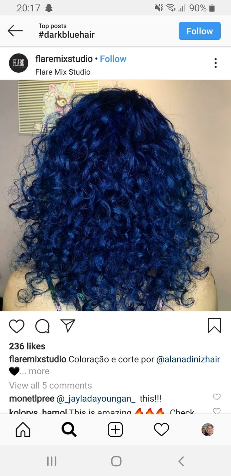 Hair Color For Curly Hair, Color For Curly Hair, Blonde Highlights Curly Hair, Midnight Blue Hair, Royal Blue Hair, Blue Hair Color, Dyed Curly Hair, Dyed Hair Blue, Highlights Curly Hair