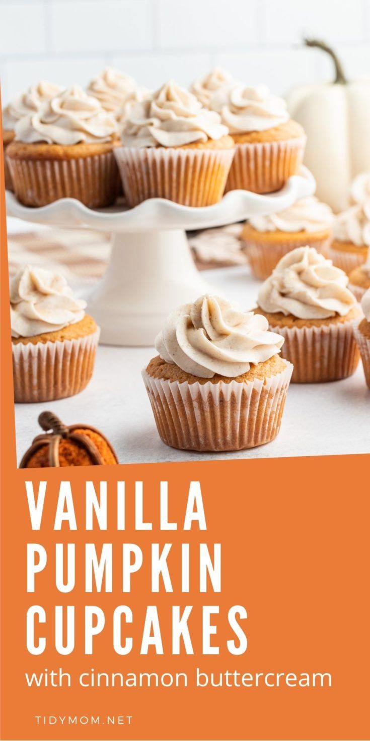 vanilla pumpkin cupcakes with cinnamon butter cream frosting