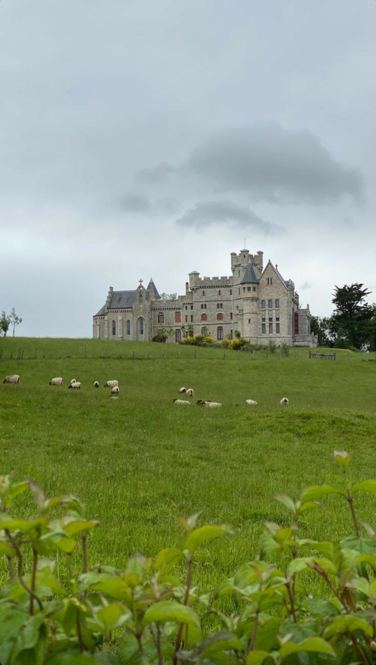 sheep graze in front of an old house on a hill with trees and bushes