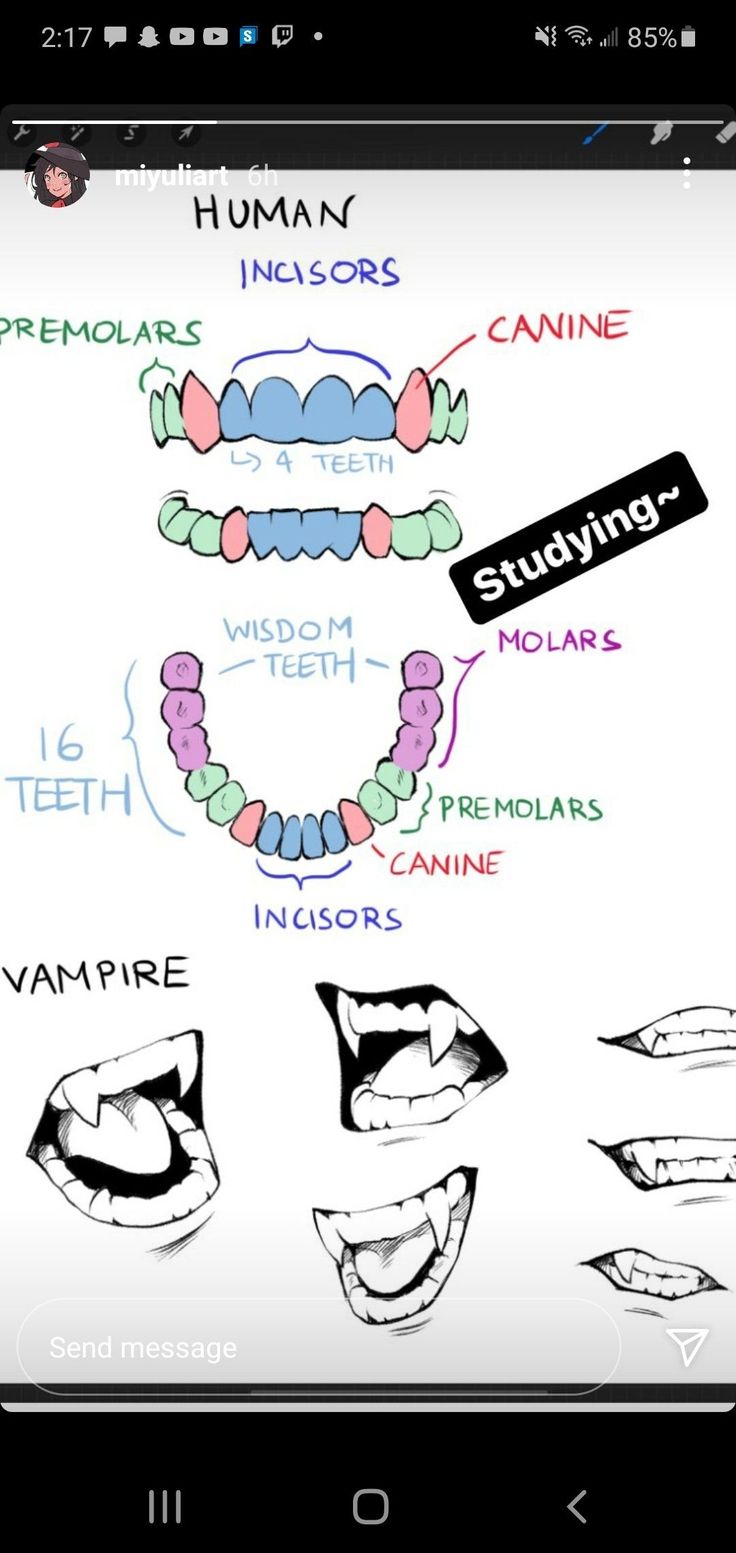 a cell phone with different types of teeth on it