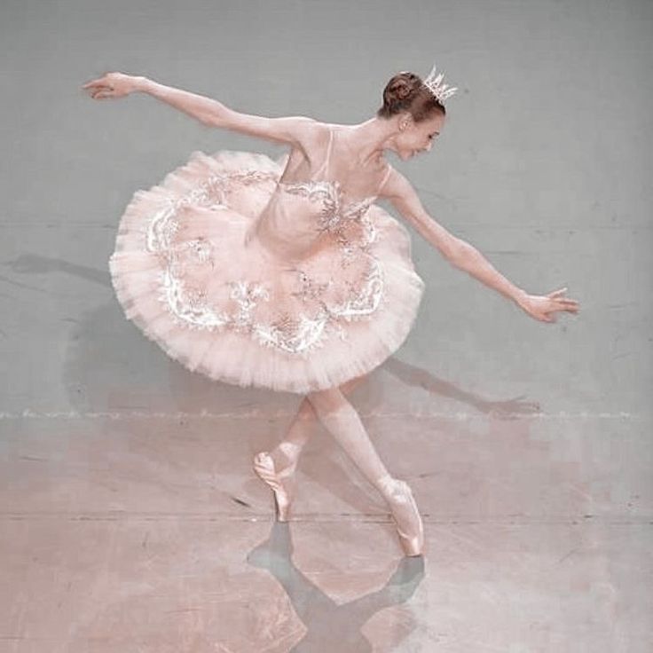 a ballerina in a pink tutu and tiara is dancing with her arms outstretched