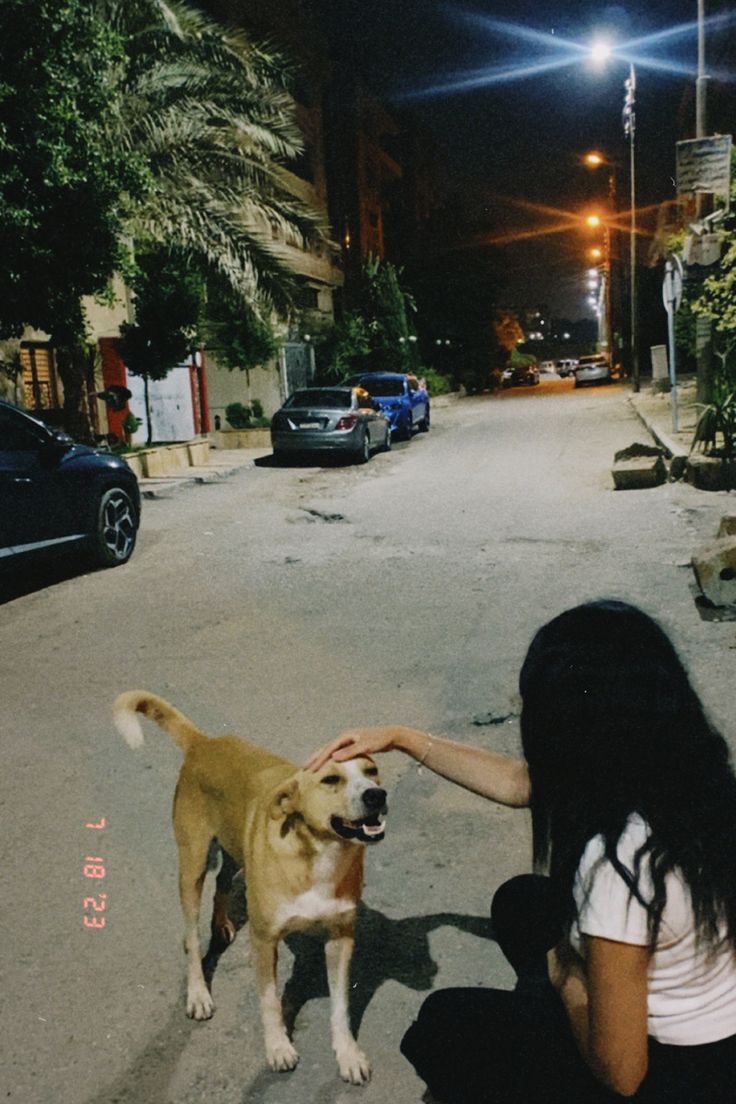 a woman petting a dog on the street at night