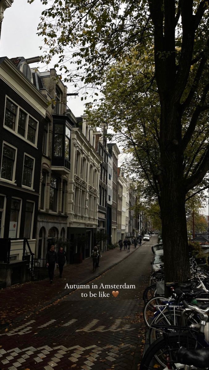 an autumn in amsterdam to be like