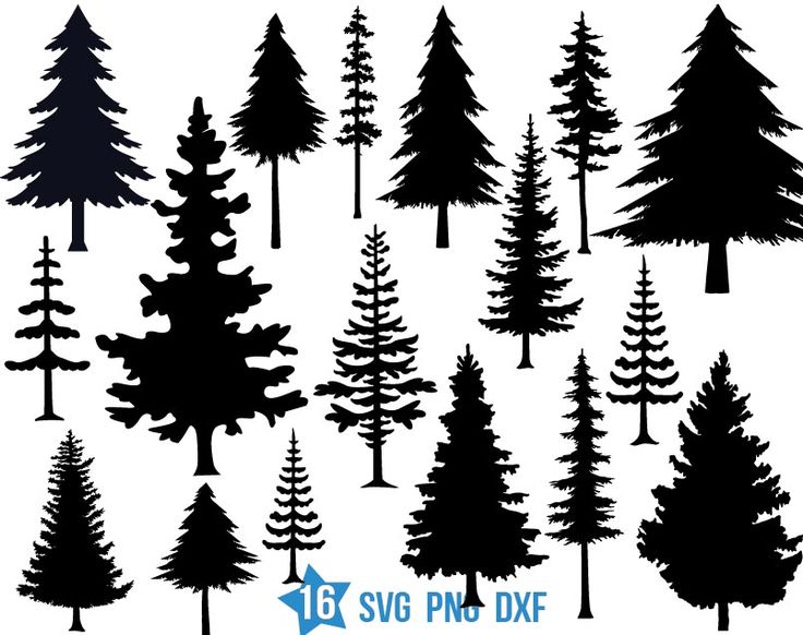 the silhouettes of different trees are shown in black and white, with red lettering