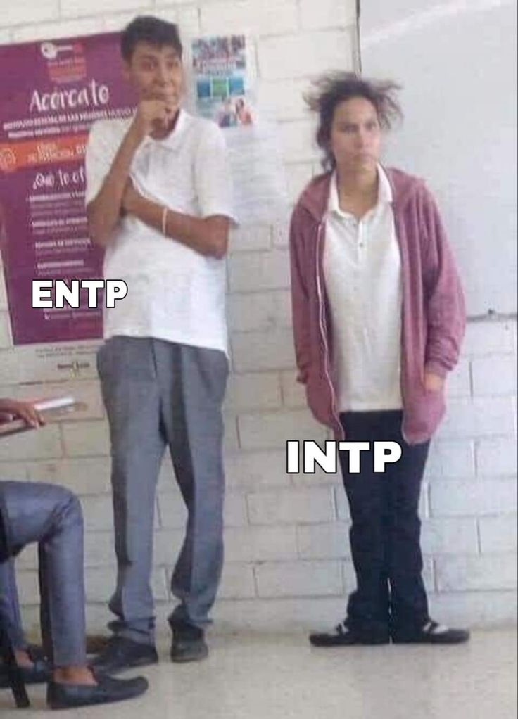 Istj Relationships, Entj Relationships, Mbti Entp, Intp Relationships, Queen's Gambit Aesthetic, Personalidad Enfp, Entp Personality Type, Intp Personality Type, Intp T