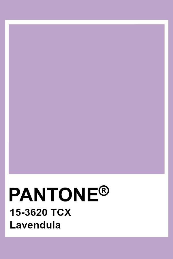 pantone's violet tulip color is shown