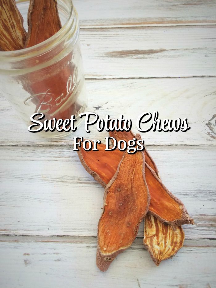 sweet potato chews for dogs in a glass jar on a white wooden table with text overlay that reads sweet potato chews for dogs