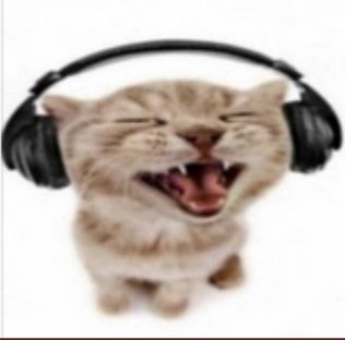 a cat with its mouth open wearing headphones