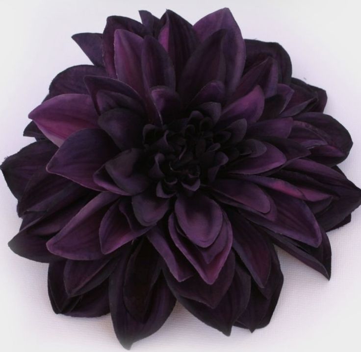 a large purple flower sitting on top of a white table