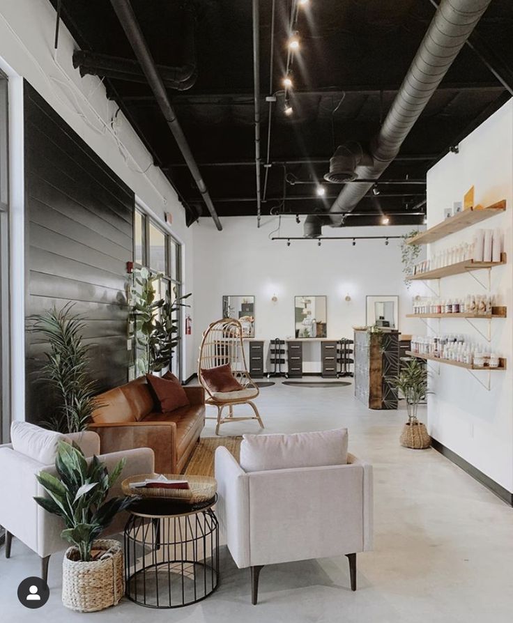 a room with couches, chairs and shelves filled with plants on the wall behind them