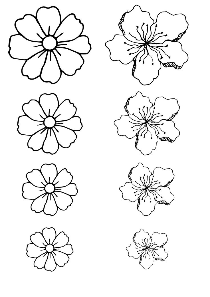 four different flowers are shown in black and white, with one flower on the left side