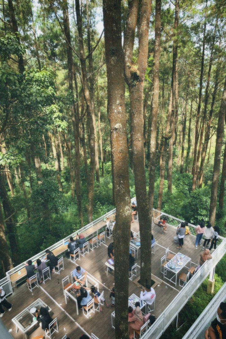 people sitting at tables in the middle of a forest with lots of trees around them