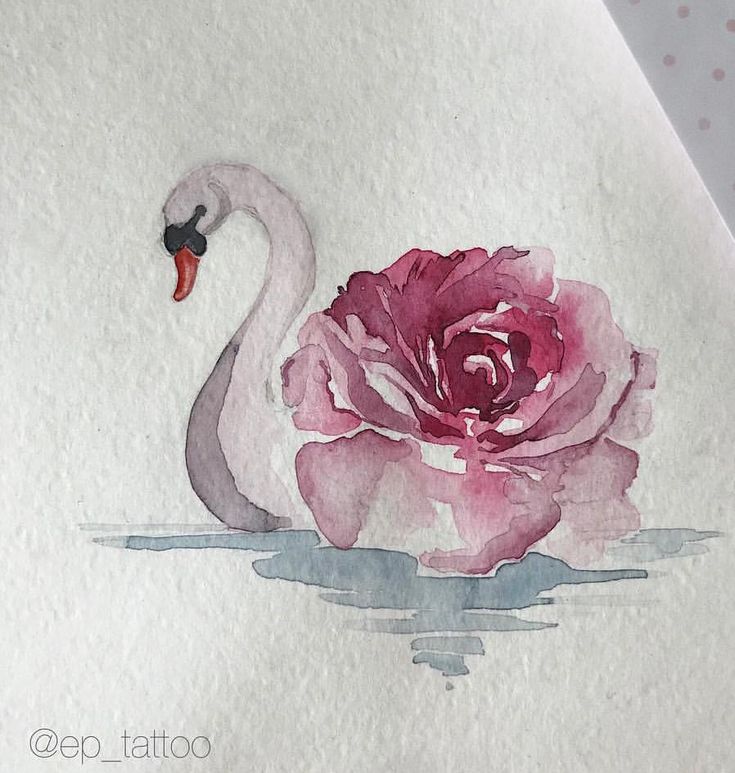 a watercolor painting of a pink rose and a white swan