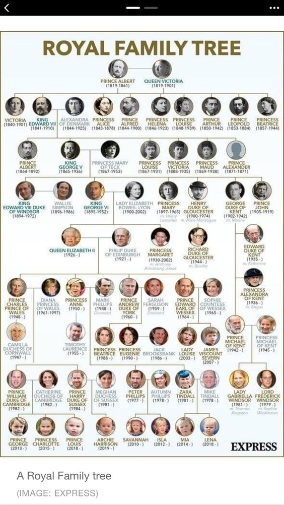 the royal family tree is shown in this screenshot from their official website, which has been