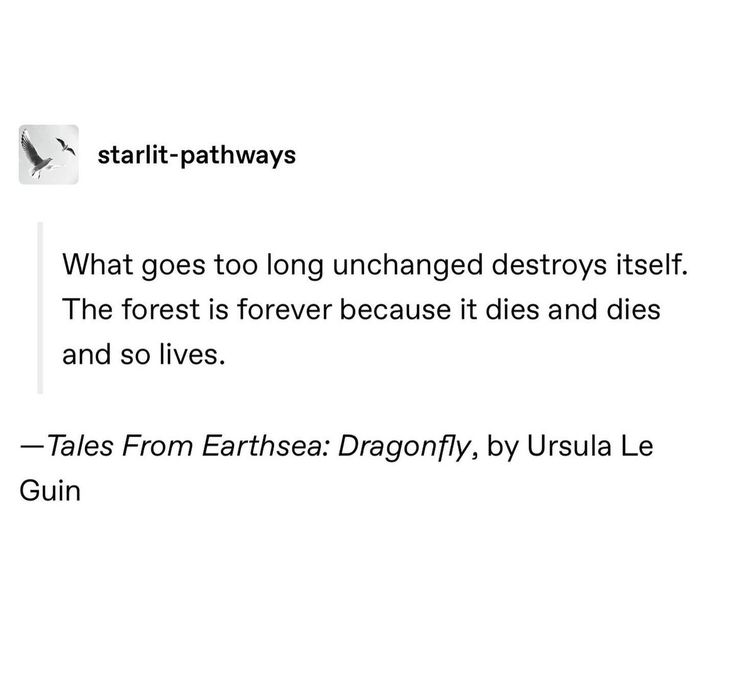 a white background with text that reads start - pathways what goes too long changed destroys itself the forest is forever because it dies and dies and dies and lies