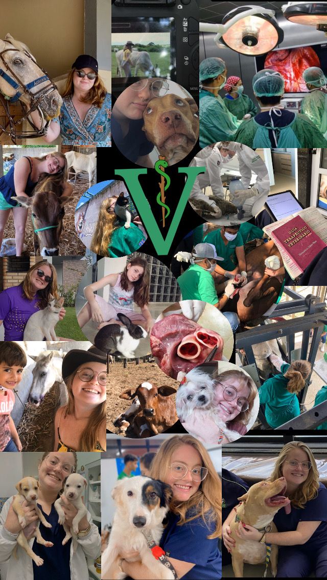 a collage of photos with dogs and people in them, including the veterinas