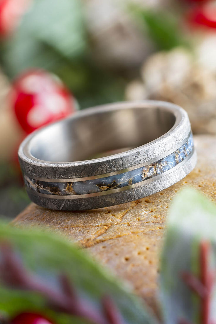 Rugged Titanium Wedding Band with Meteorite and Dinosaur Bone Men’s Engagement Ring, Meteorite Ring Men, Bone Rings, Meteorite Wedding Ring, Meteorite Engagement Ring, Dinosaur Wedding, Meteorite Wedding Rings, Meteorite Rings, Christmas Wedding Inspiration