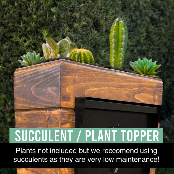 succulent / plant topper is not included but we recommend using succulents as they are very low maintenance