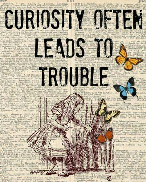 an old book with the title curiosity often leads to trouble