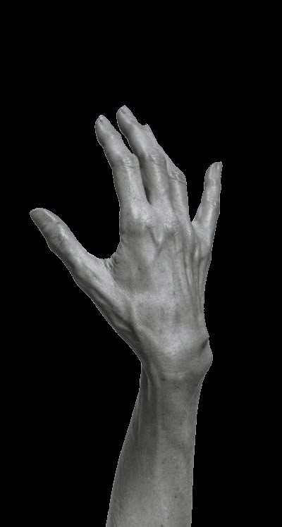 a person's hand reaching up into the air