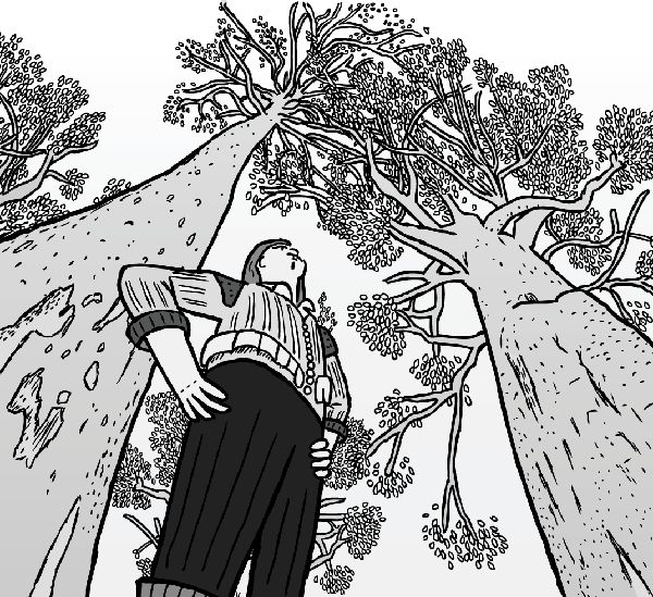 a drawing of a man standing in front of trees and looking up at the sky