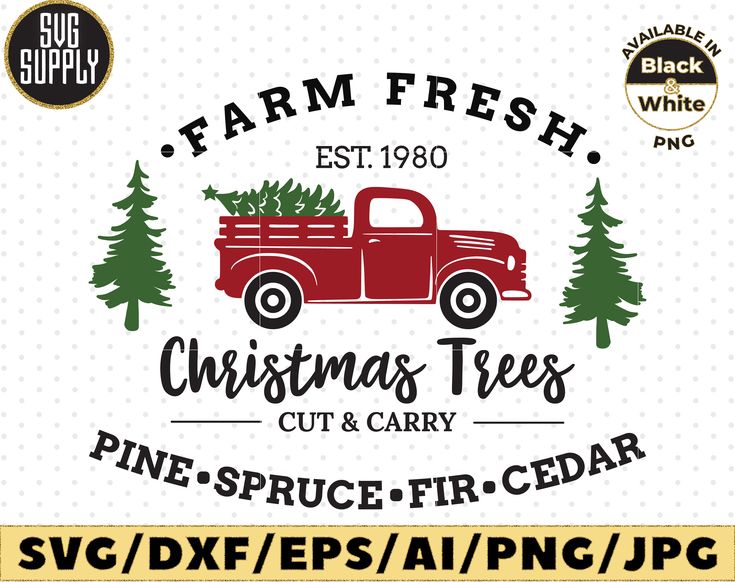 farm fresh christmas trees cut and carry svt