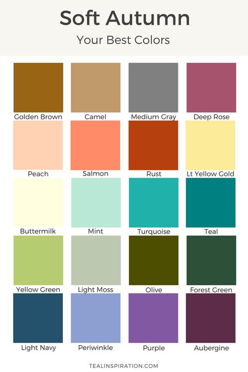 the color chart for soft autumn, with different shades and colors in each one section