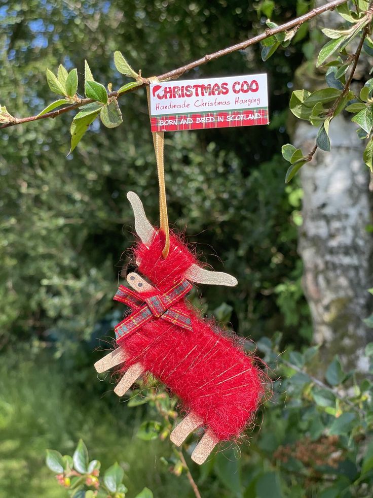 an ornament hanging from a tree branch with a sign on it that says christmas coo