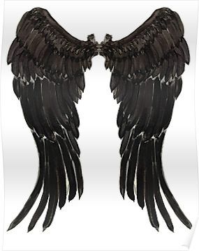 two black angel wings with white background and one wing folded up to the side poster