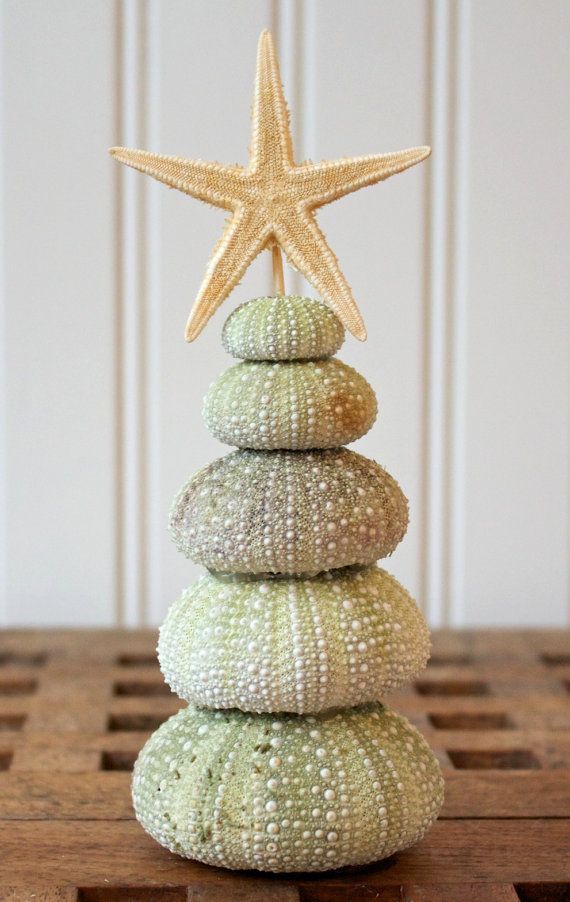 a stack of sea shells with a star on top