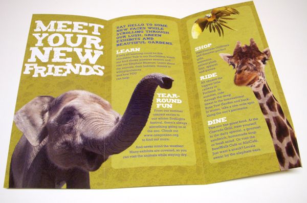 an elephant and giraffe are shown in this brochure