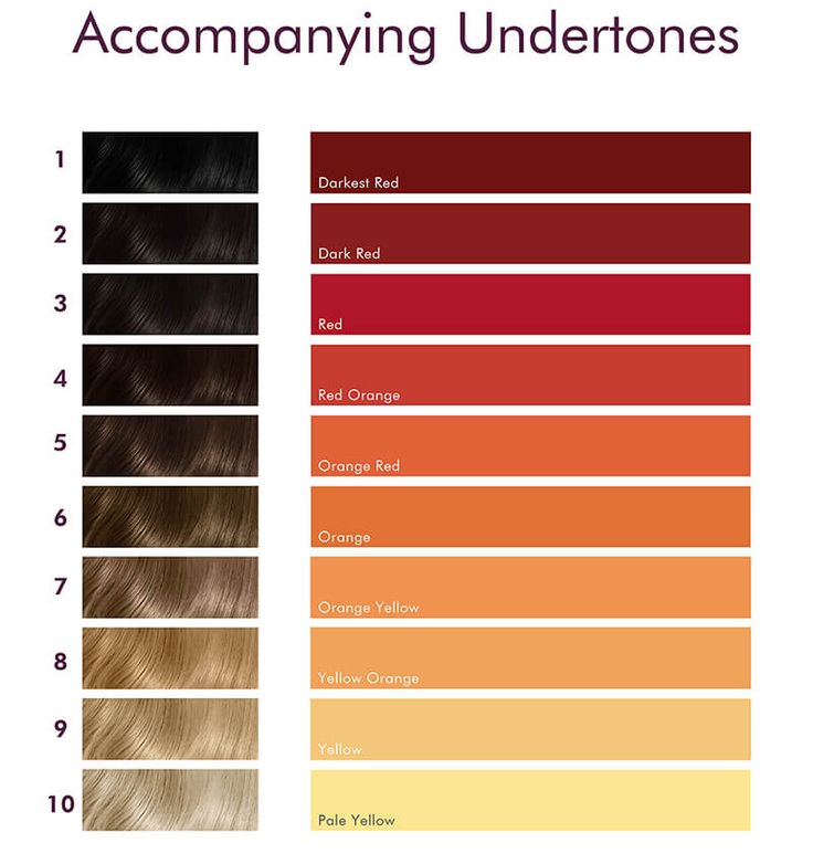 Level 6 Hair Color, Level 7 Hair Color, Hair Pigmentation, Brown Hair Color Chart, Red Brown Hair Color, Cool Brown Hair, Hair Levels, Hair Science, Brown Hair Color