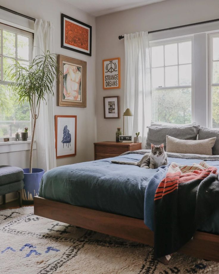 a cat laying on top of a bed in a bedroom next to two large windows