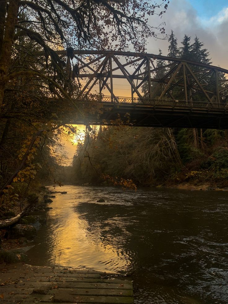 a bridge over a river next to a forest