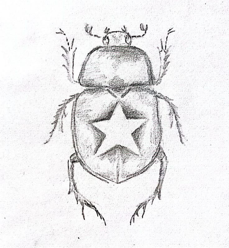 a drawing of a bug with a star on it's back