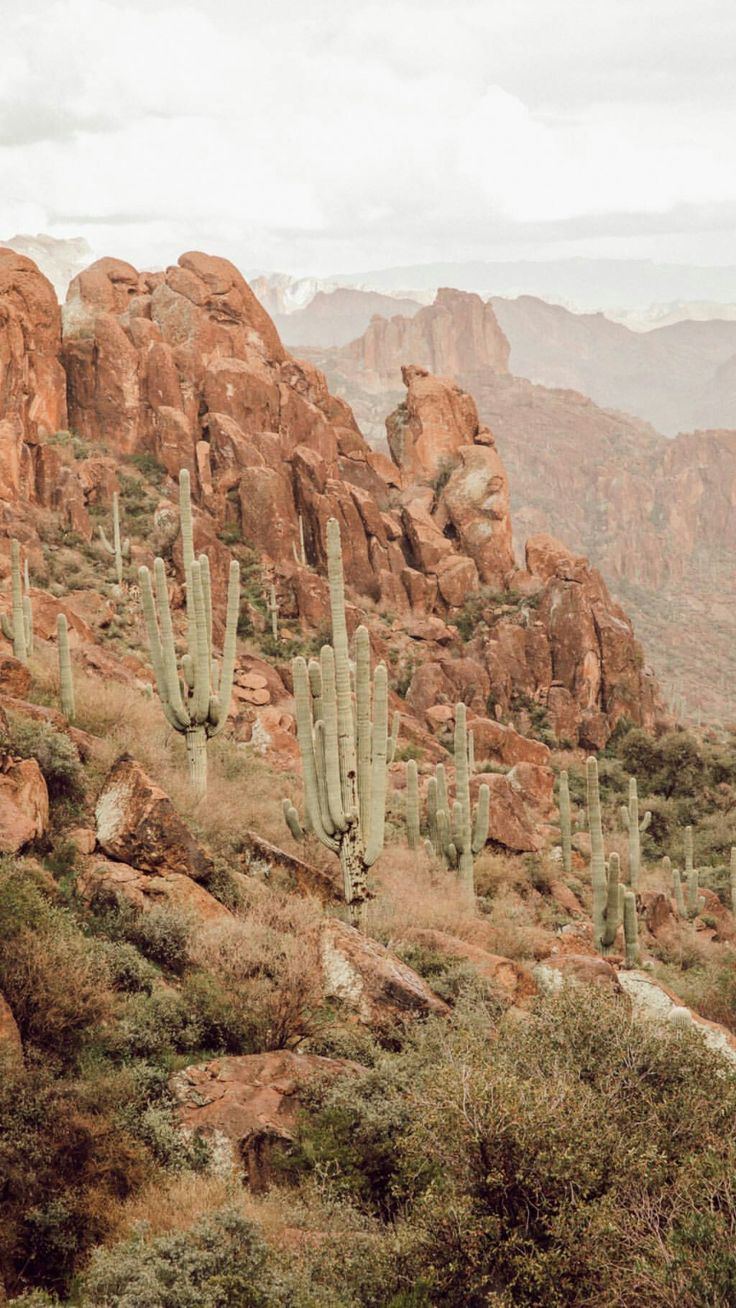 the mountains are filled with cactus and rocks